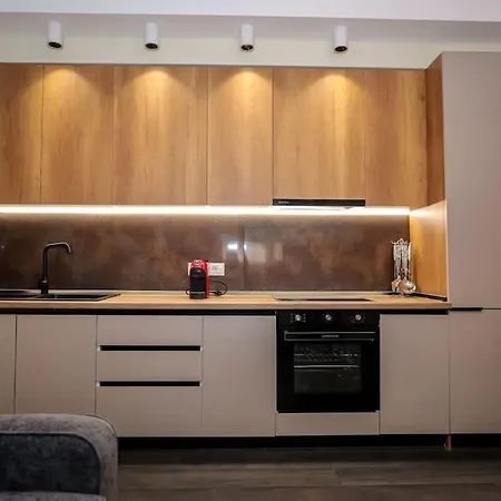 Miku Apartment- Exclusive 1 Bedroom At Komuna E Parisit Apartment Tirana